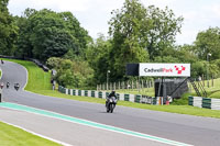 Lower Group Black Bikes